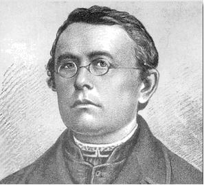 Михайло Вербицький