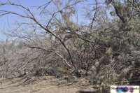 Річка Йордан