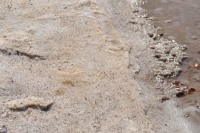 Мертве море