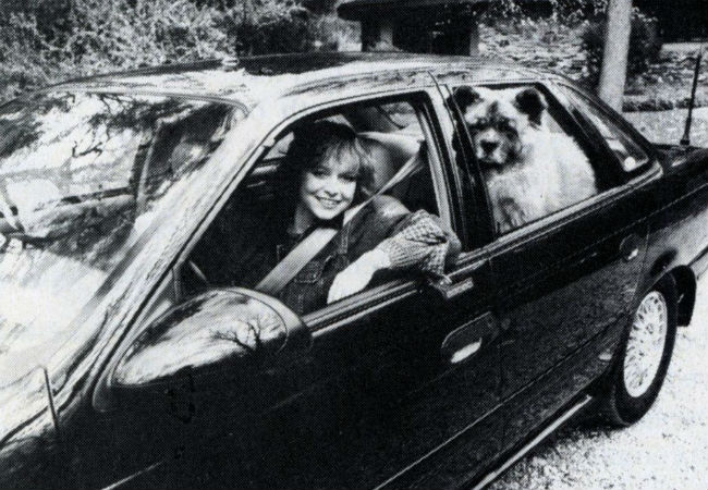 Квітка Цісик